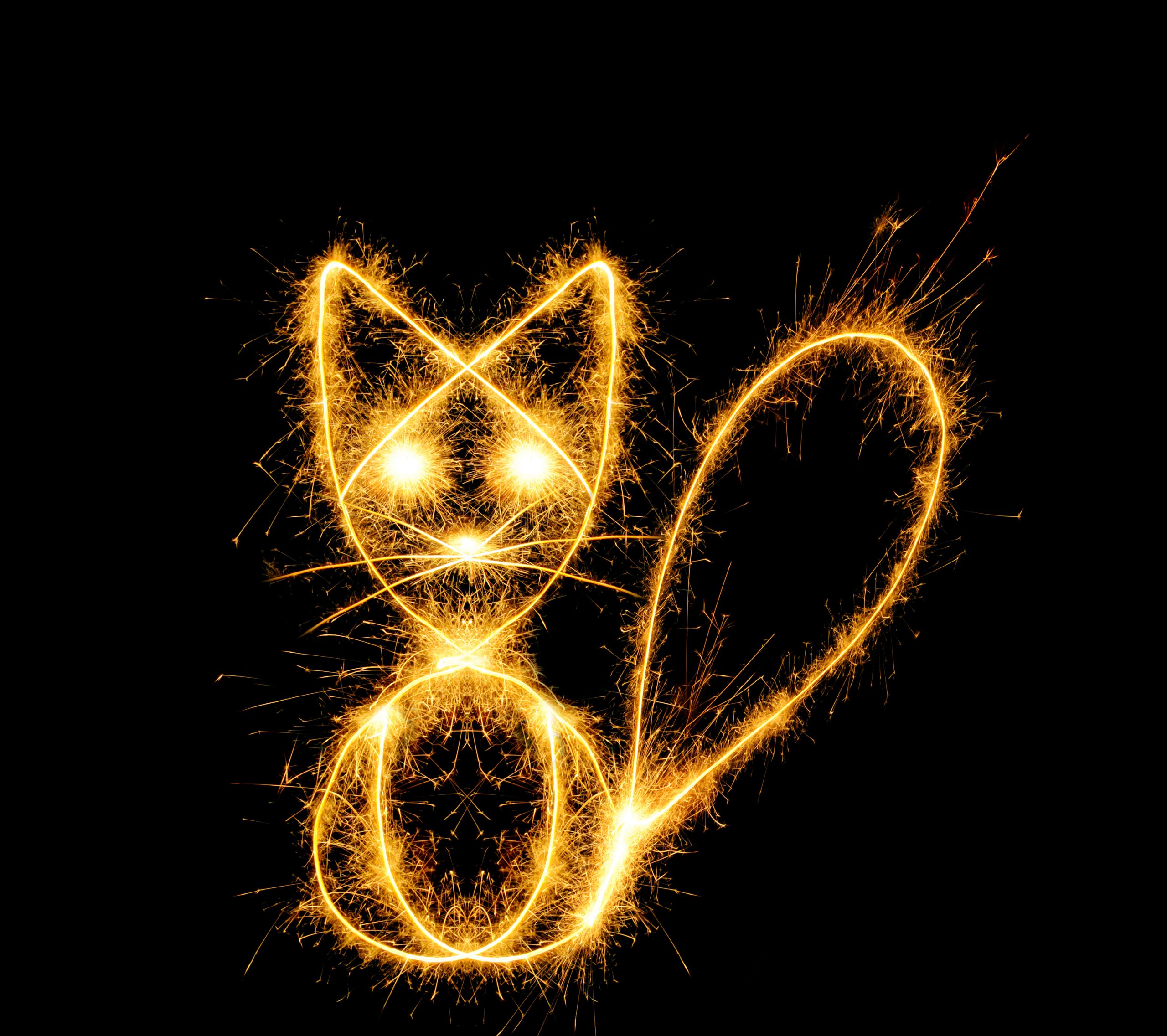 Firework Anxiety in Cats