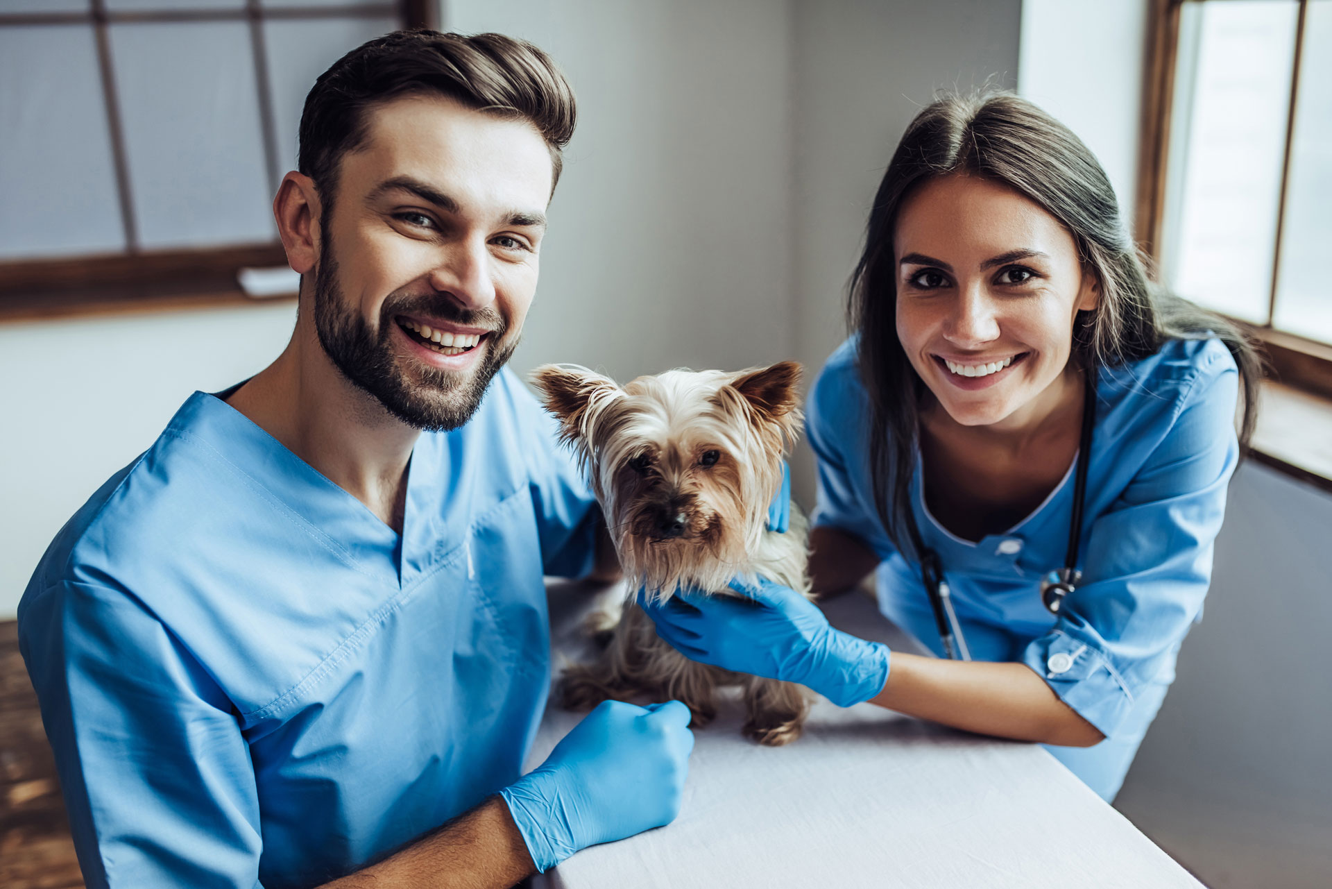 What do our Veterinary Nurses do?