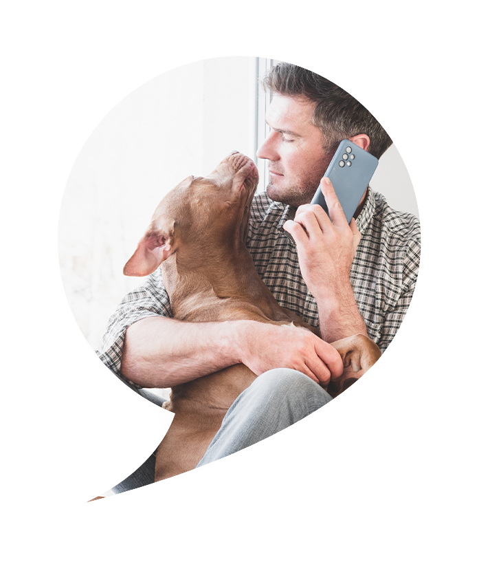 Pet Senior and Palliative Care Near Me