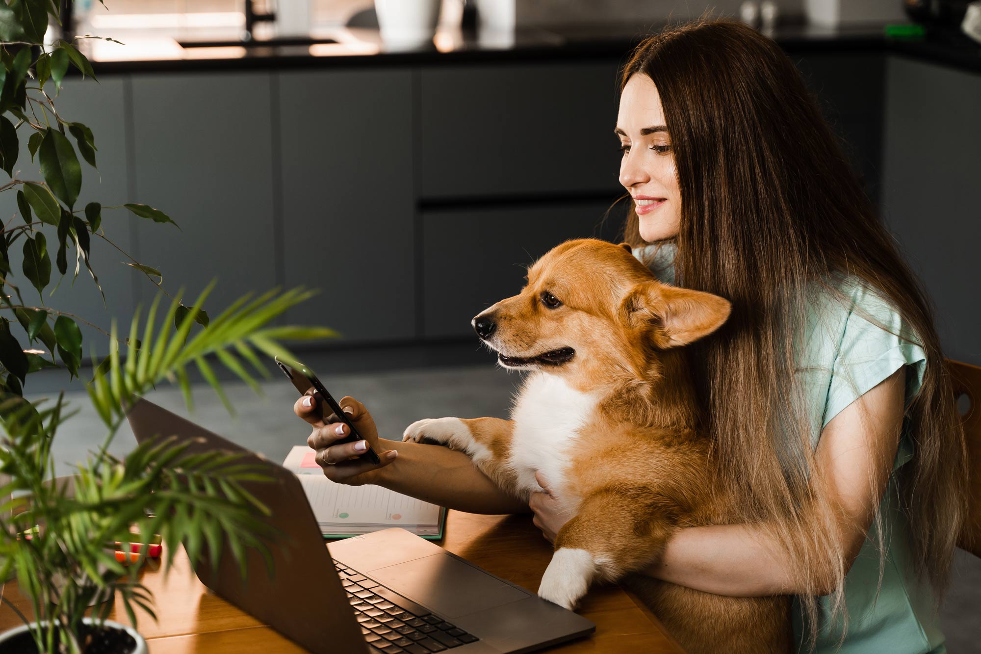 Pet Insurer Support Online