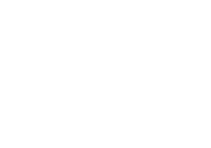 Vetfone