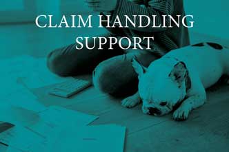 support-slides